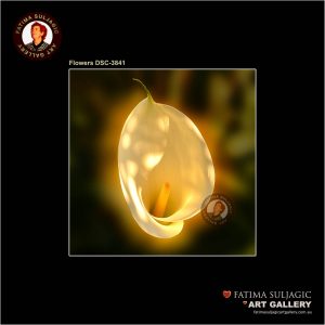 Lily Fine Art Prints