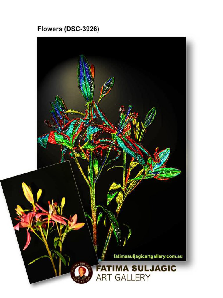 Flowers Fine Art Prints